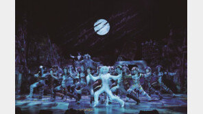 [동아일보 설 특집]30마리 고양이? 10년 만의 연극무대 황정민?… 뭘 볼까