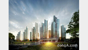 ‘양보다 질’ 똘똘한 집 한 채 열풍… 브랜드 재건축 단지 주목