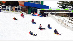 차례 지내고 어디로 갈까?… 설연휴 문화행사 풍성