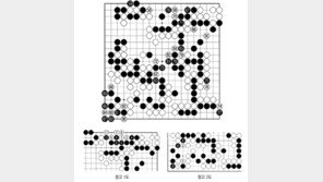 [바둑]알파고 vs 알파고 특선보… 흑의 계산 속에 있다