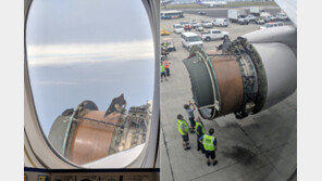 [영상]“롤러코스터 탈선한 느낌”…비행 중 엔진 덮개 ‘휙!’, 승객들 ‘덜덜’