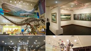 세배 끝나고 온 가족 함께 박물관·고궁 나들이 어때요?