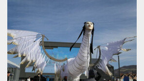 “인면조가 돌아왔다!”…15일 평창에 인면조 재등장