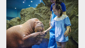 한화 아쿠아플라넷 일산, VIP 투어 ‘세희의 하루’ 론칭