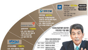 “대우건설 2년내 정상화… 회생작업 직접 챙길 것”