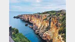 [여행, 나를 찾아서]참치 해체 쇼, 바다 바라보며 온천… 日간사이 프리미엄 투어