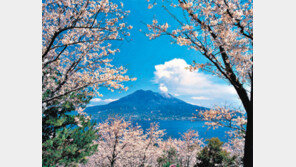 [여행, 나를 찾아서]동쪽엔 미야자키-서쪽엔 가고시마… 사계절 내내 아름다운 그곳, 日 남규슈