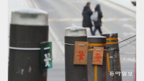 [청계천 옆 사진관] 졸업식 앞둔 대학 정문 앞은 지금 ‘꽃자리 쟁탈전’