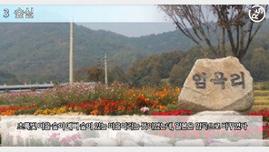 [대박! 이거 봤어?] ‘숲실·아우내·햇살말’이 ‘임곡리·병천·양촌리’가 된 이유