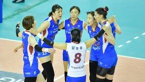 여자배구 자생력 증명하는 도로공사의 티켓파워