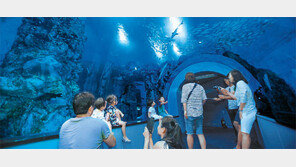 단양 ‘다누리 아쿠아리움’ 인기몰이