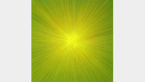 변주의 미학, 본질을 꿰뚫다