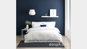 ‘알레르망’, 프리미엄 침대 혼수 아이템으로 떠올라