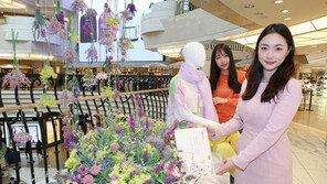 [경제현장.jpg] ‘봄꽃’ 느끼러 오세요