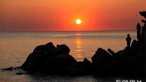 “다양한 철도 이용해 관광명소 찾아가세요”