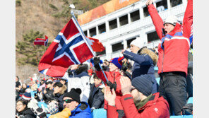 “정선군도 겨울올림픽 대박 났어요”