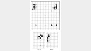 [바둑]알파고 vs 알파고 특선보… 선 실리 후 타개