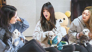 3주 만에 어엿한 세 강아지 엄마된 ‘개밥 아이돌’