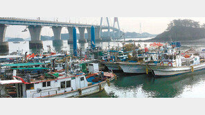 낚싯배 영업 시즌 다가오자… 긴장하는 중부해경