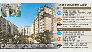 리모델링 vs 재개발… 재건축 규제 반사이익 어디로?