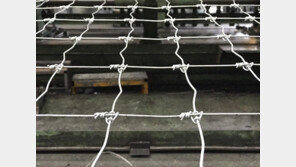 로드킬 막는 국산 펜스, ‘기술 원조’ 캐나다에 수출