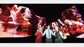 [data&]올레드 TV, 대세 굳혔다