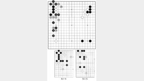 [바둑]알파고 vs 알파고 특선보… 알파고가 바꾼 ‘비추’