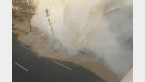 [움짤]분당 서현역 인근서 지역난방 배관 파손…“물 솟구쳐, 연기 자욱”