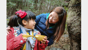 한화리조트 지리산, 고로쇠 출시 이벤트