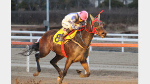2300m 최장거리 빅매치! 그랑프리행 승점을 얻어라