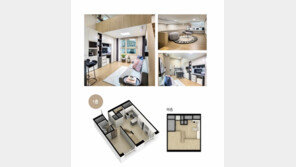 오피스텔도 똘똘한 한 채… 미사역 더오페라 2차