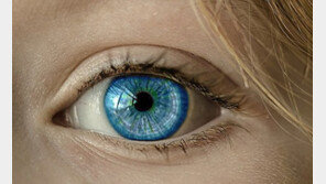 구글의 머신러닝 기술 “심혈관 질환, 눈만 봐도 알수 있다”