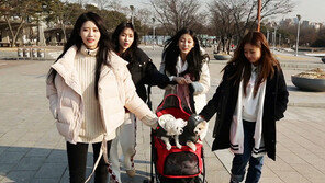 [오늘의 채널A] 그룹 러블리즈, 임보 강아지 ‘러브’ 다이어트 대작전