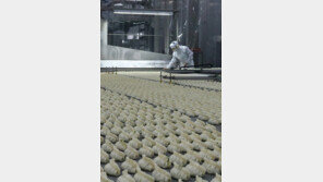 “만두 매출 5000억… 美-中 등 해외 판매가 절반”