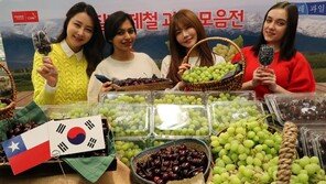 “칠레산 과일, 3종 동시구매땐 20% 할인”