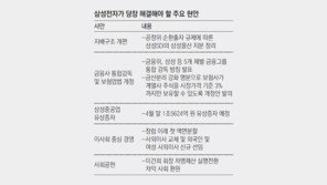 오너 돌아온 삼성, 숙제 풀기 어떻게