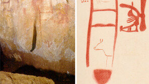 6만4000년前 스페인 동굴벽화 주인공은 ‘네안데르탈인’