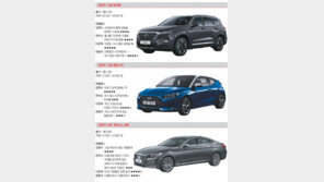 [CAR&TECH]신형 싼타페-벨로스터-디젤 제네시스 G80 출격 ‘현대차의 잔치’