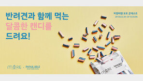 비엔비엔, 화이트데이 반려견 사진 콘테스트