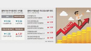 한풀 꺾인 국내 증시, 돋보이는 중소형주 펀드