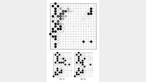 [바둑]알파고 VS 알파고 특선보… 알파고의 대담성