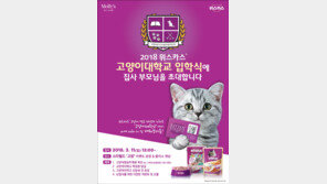 “고양이키우기 노하우 배우러 오세요”