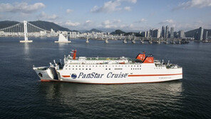 팬스타엔터프라이즈, 국제 여행업 진출