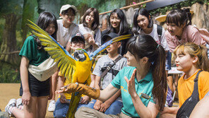 에버랜드 입학·개학 시즌 맞아 체험학습 확대 개편