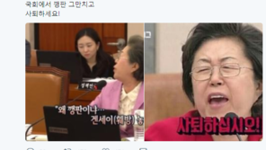정청래, 이은재에 일침…“겐세이 선생, 국회서 깽판 그만쳐라”