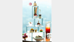 알면 알수록… 차 맛이 예술이네