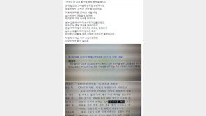 “박범계도 겐세이 발언 했다” vs “격이 다른 얘기”…삼일절에 일본어 설전