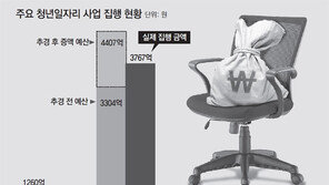 청년인턴제 예산 1085억→1260억 늘려놓고 쓴건 763억뿐