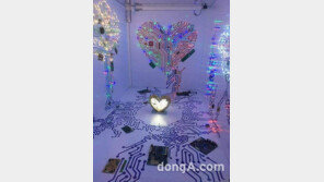 제56회 관념미학어워드 수상자 배수영 작가 선정