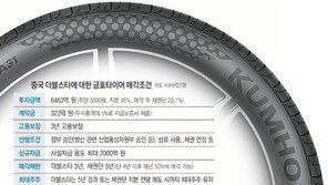 금호타이어, 中더블스타에 매각 재추진… 노조는 고공농성